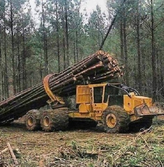 Meet your Posher, Paulanthony - Picture 1 of 1